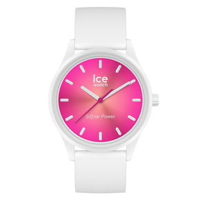 Ice Watch solar power Coral reef