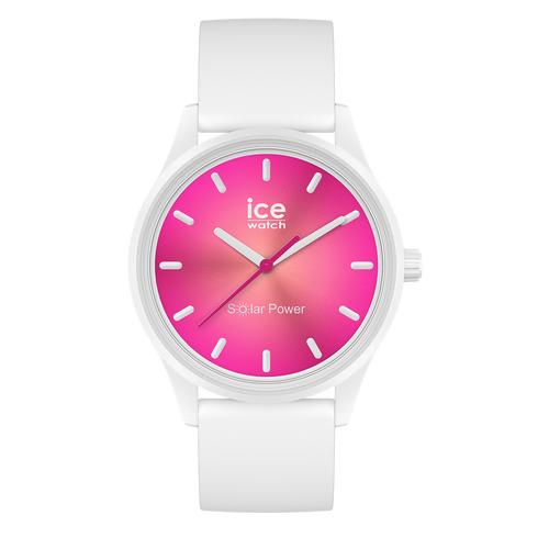 Ice Watch solar power Coral reef