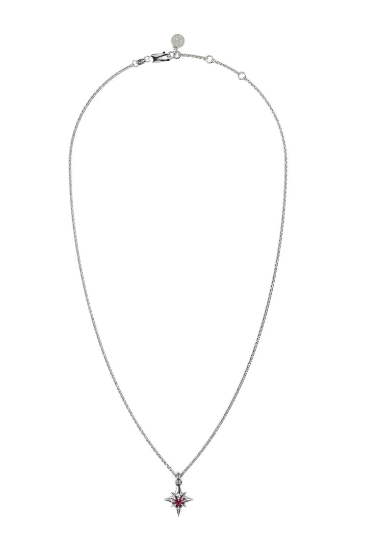 Stolen Silver Gothic Star Necklace
