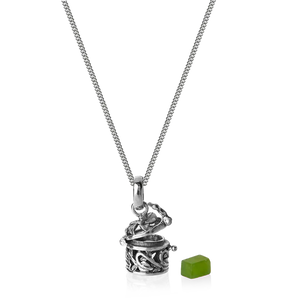 EVOLVE NZ TREASURES LOCKET SILVER NECKLACE