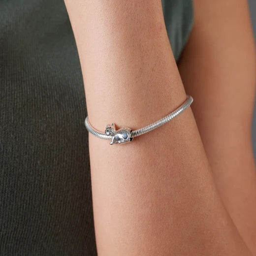 Evolve Kitty Cat Charm