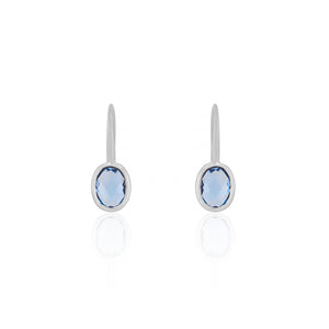 9ct White Gold Lamour Blue Topaz Oval Hook Earrings