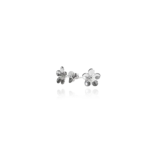 Evolve Manuka (Vitailty) Silver Studs