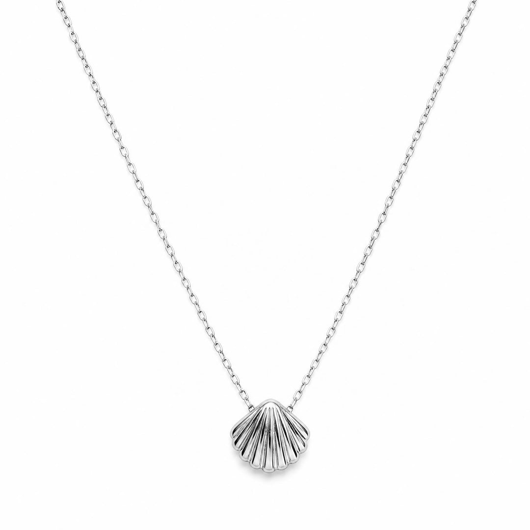 LT Sterling Silver Shell Dimention Necklace