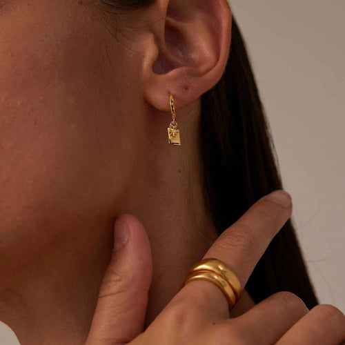 Gold star hoops store