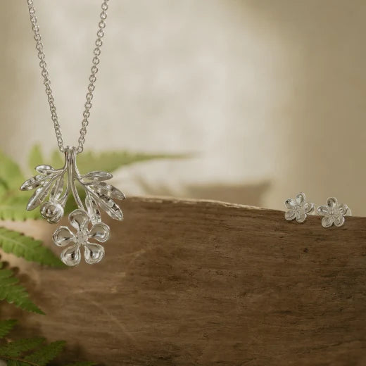 Evolve Manuka (Vitailty) Silver Studs