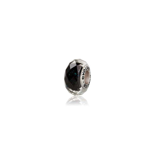 Silver RWC Supporters New Zealand Charm