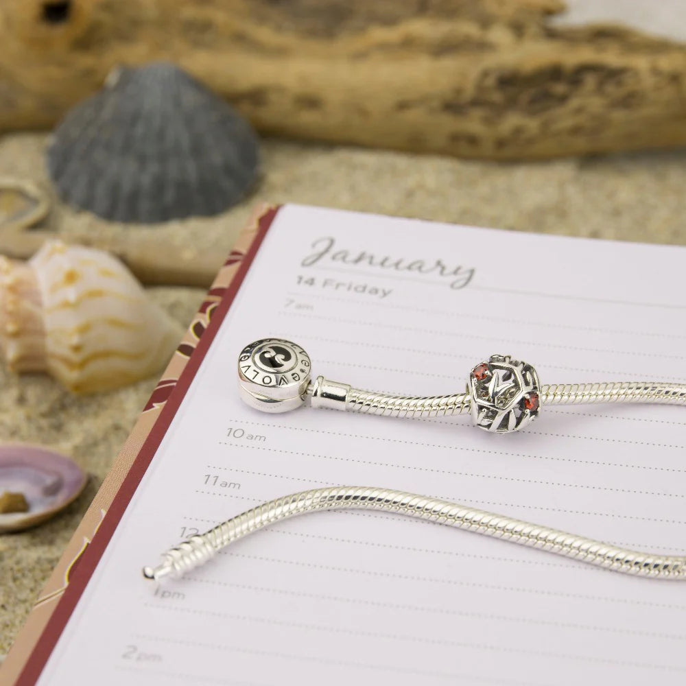 Evolve January (Protection) CZ Charm