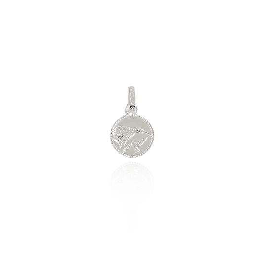 Evolve Kiwi Coin Pendant Silver Charm (Iconic)