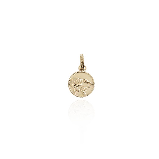 Evolve Kiwi Coin Pendant Gold Plated Charm (Iconic)