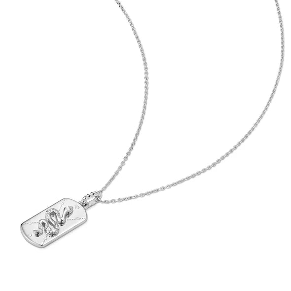 Ania Haie Tide Silver CZ Serpent Tag 43cm Necklace (+5cm extension)
