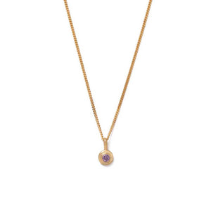 Gold Plated Birthstone Necklace - February