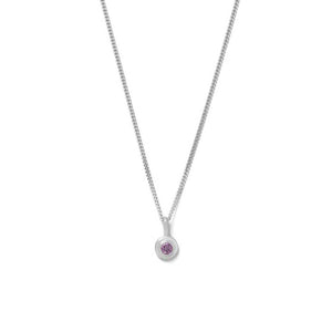 Silver Birthstone Necklace - February