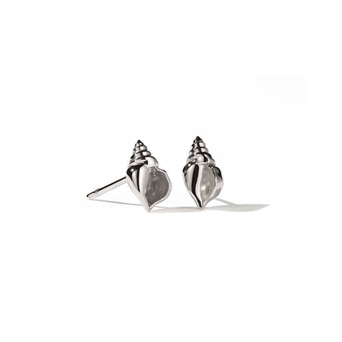 Silver Conch Stud Earrings