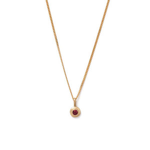 Gold Plated Birthstone Necklace - January