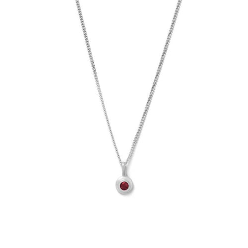 Silver Birthstone Necklace - January
