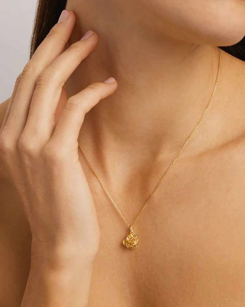 By Charlotte 18k Gold Vermeil June Birth Flower Necklace - Rose