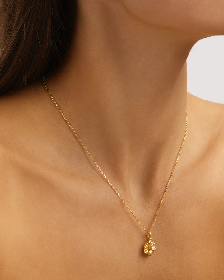 By Charlotte 18k Gold Vermeil October Birth Flower Necklace - Cosmos