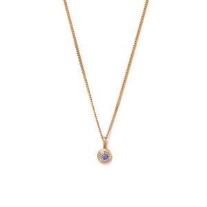 Gold Plated Birthstone Necklace - December