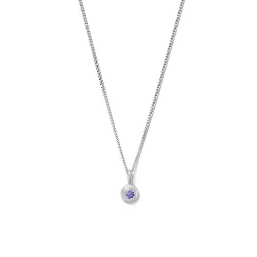 Silver Birthstone Necklace - December