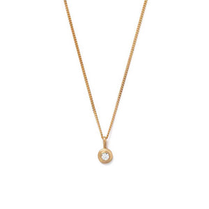 Gold Plated Birthstone Necklace - April