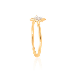 9ct Yellow Gold Mininova Diamond Ring