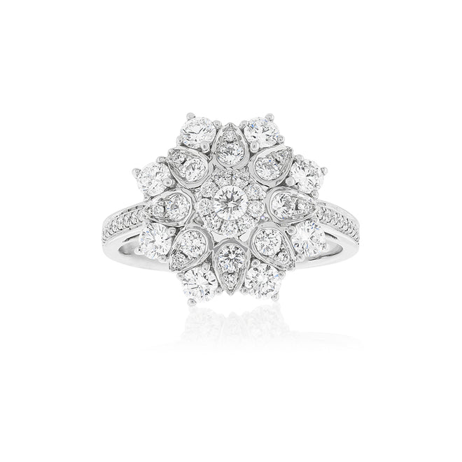 Engagement Rings | Fine Jewellery | Silvermoon Jewellers
