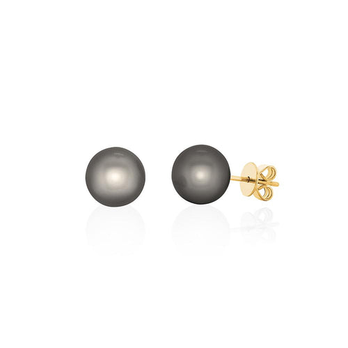 18ct Yellow Gold South Sea Pearl Studs