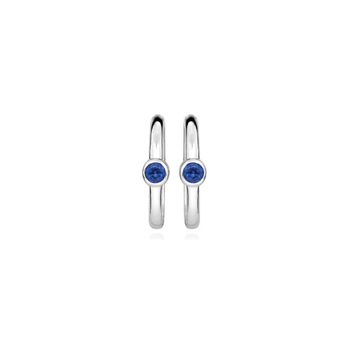 Silver Azure Cubic Zirconia Earring - Blue