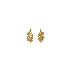 9ct Yellow Gold Leaf Earrings
