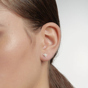 9ct White Gold True Love Earrings